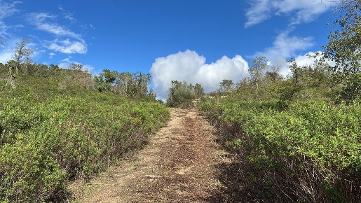 Foto Casale a Arzachena Arzachena Paese di 130 m² con 2 locali in vendita