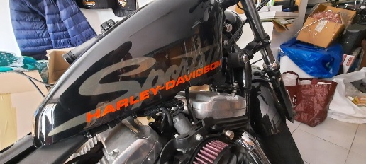 immagine annuncio 10 di 12