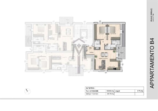 immagine annuncio 2 di 7