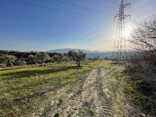 immagine annuncio 2 di 8