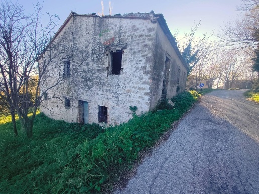 immagine annuncio 12 di 14