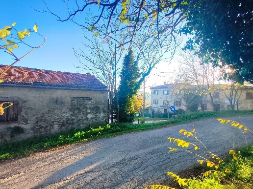 immagine annuncio 13 di 14