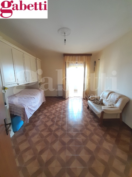 immagine annuncio 7 di 14