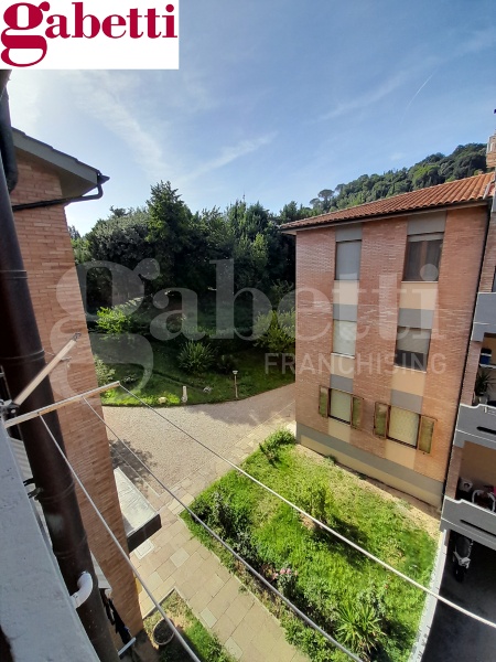 immagine annuncio 11 di 14