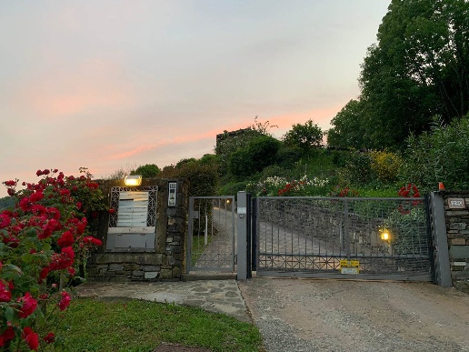 immagine annuncio 9 di 13