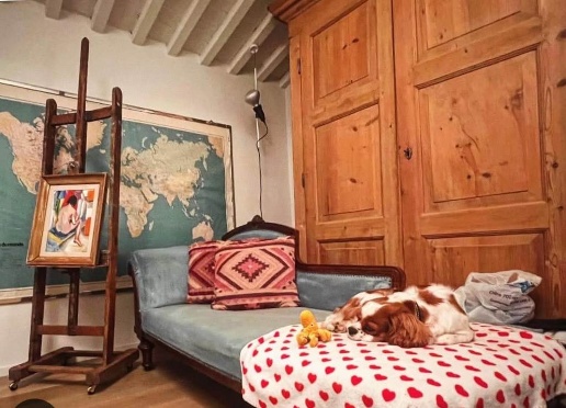 immagine annuncio 8 di 15