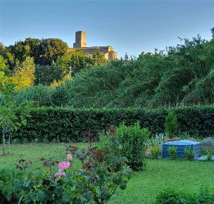 Foto Terreno agricolo a Tuscania di 2560 m² in vendita