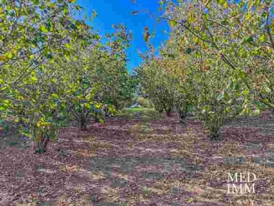 Foto Terreno agricolo a Soriano nel Cimino di 58610 m² in vendita