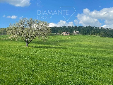 Foto Cessione attività a Valentano Centro con 6 locali in vendita