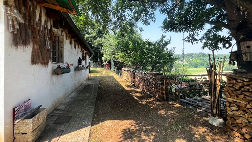 Foto Terreno agricolo in Via Bazziola, Monteviale di 10082 m² in vendita