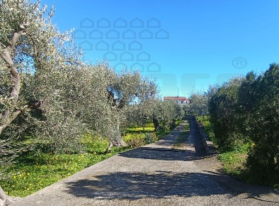 Foto Villa unifamiliare in Contrada Ziino, Messina Ortoliuzzo - San Saba