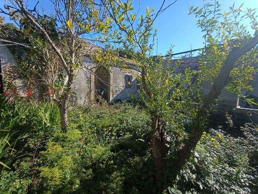 immagine annuncio 5 di 8