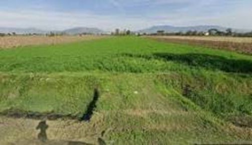 Foto Terreno agricolo in Via Provinciale Belvedere -, Capannoli di 23321 m²