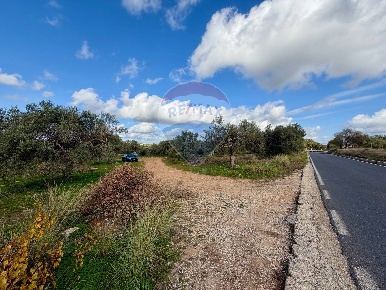 Foto Terreno agricolo in C.da Scornavacche, Chiaramonte Gulfi di 46000 m²