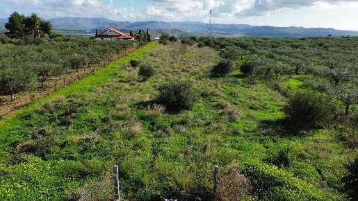 Foto Terreno agricolo a Ribera di 5010 m² in vendita