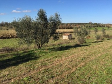 Foto Cessione attività a Viterbo Monterazzano di 80 m² con 2 locali