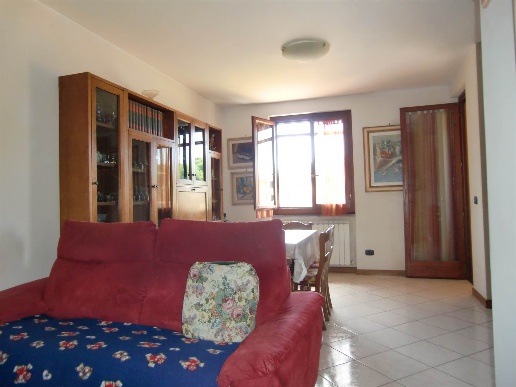 immagine annuncio 7 di 14