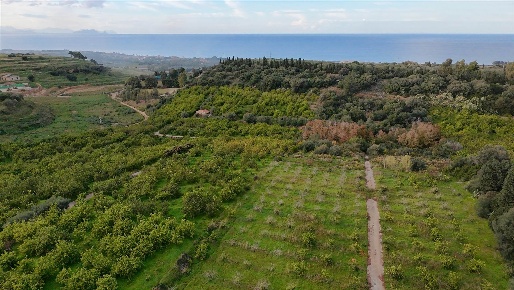 Foto Terreno agricolo in roselle, Campofelice di Roccella di 18148 m²