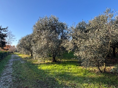 Foto Terreno agricolo in VIA JUSSI, San Lazzaro di Savena di 8035 m²