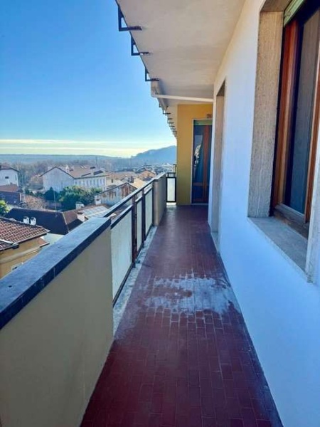 immagine annuncio 11 di 14