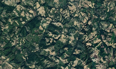 Foto Appartamento in Via Girfalco, Urbino di 91 m² con 4 locali all'asta