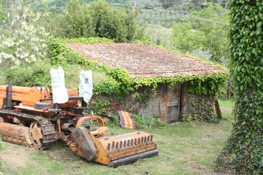 immagine annuncio 13 di 15