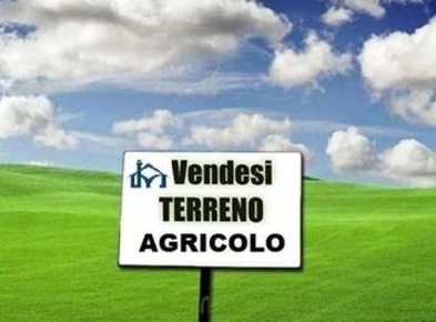 Foto Terreno agricolo a San Giuliano Terme Colignola, Campo di 2337 m²