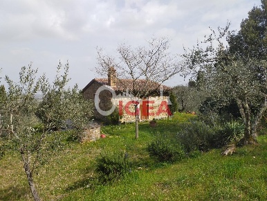 Foto Rustico a Sinalunga di 35 m² con 1 locali in vendita