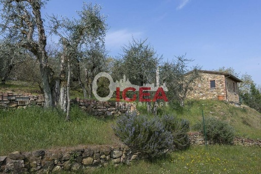 immagine annuncio 2 di 6