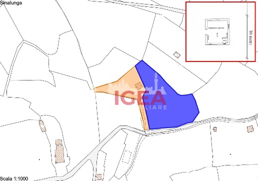 immagine annuncio 5 di 6