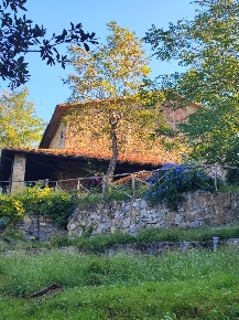 Foto Casale a Scansano di 200 m² con 7 locali in vendita