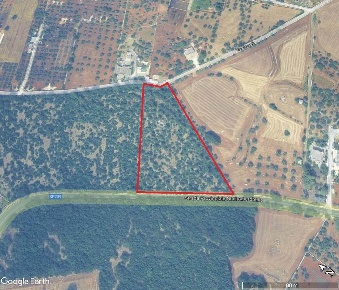 Foto Terreno agricolo in Strada Provinciale Noci Alberobello s.n,