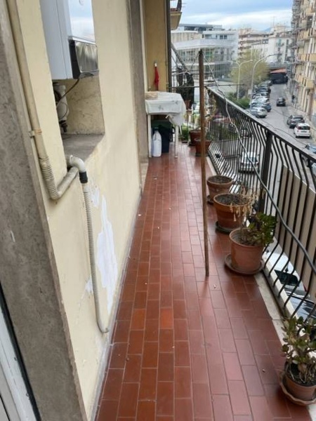 immagine annuncio 3 di 14