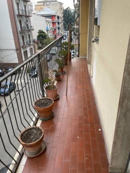 immagine annuncio 4 di 14