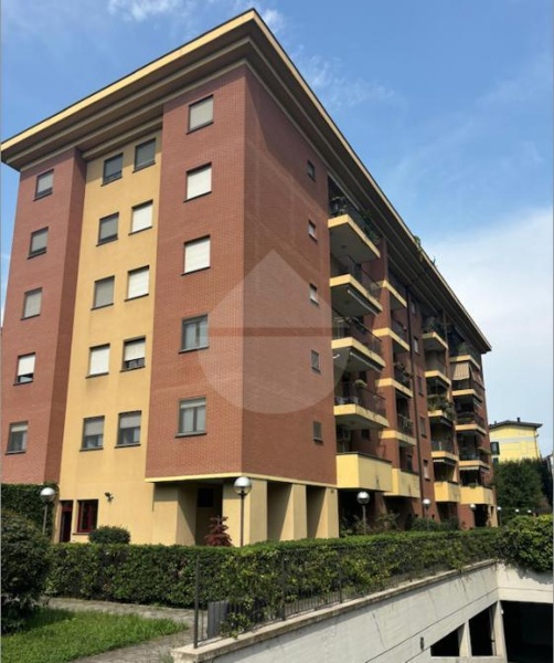 immagine annuncio 2 di 13