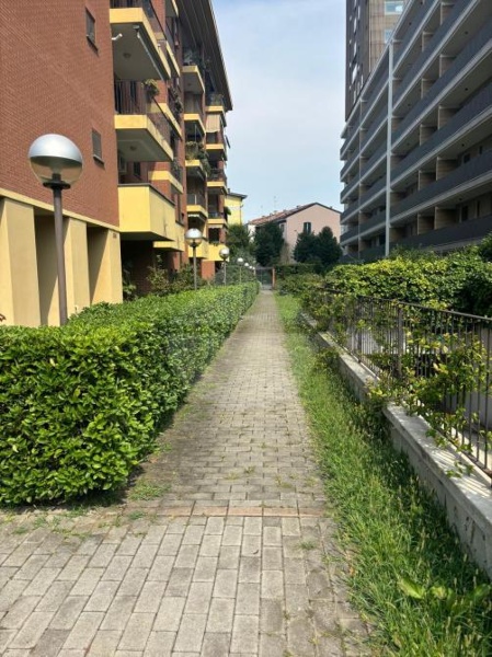 immagine annuncio 3 di 13