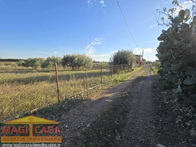 Foto Terreno agricolo a Motta Sant'Anastasia di 19000 m² in vendita