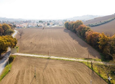 Foto Terreno agricolo a Ostra in vendita