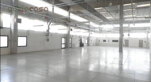 Foto Capannone industriale in Viale Gradara, Riccione Papini - Oltremare