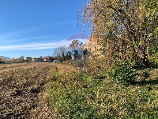 immagine annuncio 3 di 7