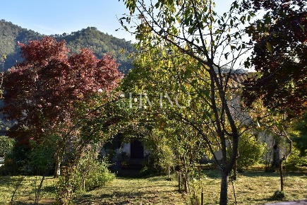 Foto Casale a Lucca Brancoleria di 230 m² con 14 locali in vendita