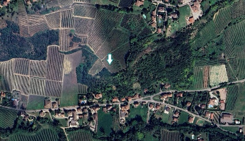 Foto Terreno agricolo a Mornico Losana di 45223 m² in vendita