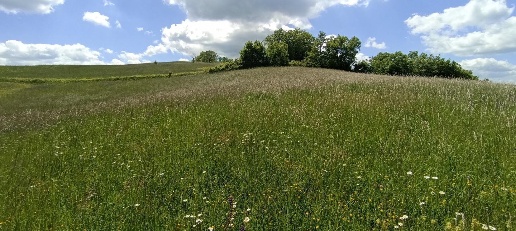 Foto Terreno residenziale a Tizzano Val Parma di 10570 m² in vendita