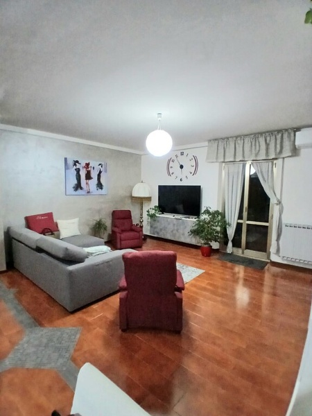 immagine annuncio 3 di 13