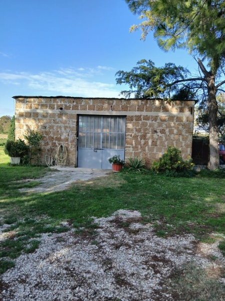 immagine annuncio 12 di 13