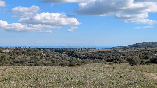 Foto Terreno agricolo in contrada stallaini, Noto in vendita