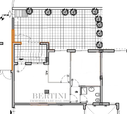 immagine annuncio 2 di 9