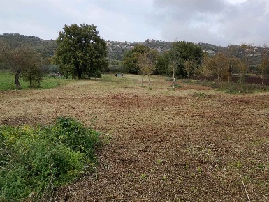 Foto Terreno agricolo a Montefiascone Centro di 5000 m² in vendita
