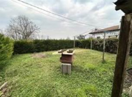 immagine annuncio 1 di 7