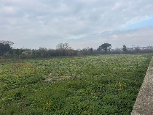 immagine annuncio 3 di 8